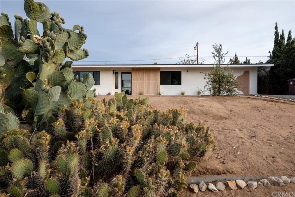 Joshua Tree - Le Tout Petit W Hot Tub Exteriör bild